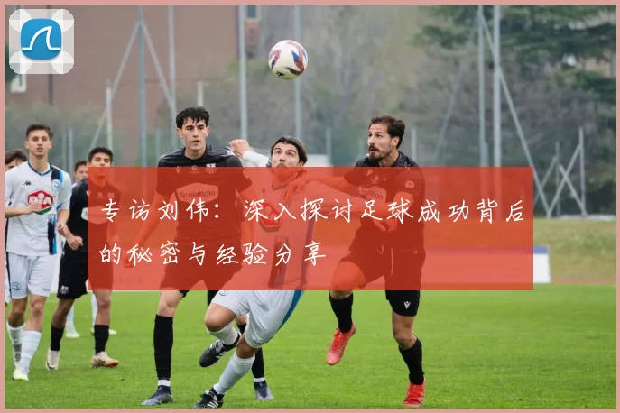 专访刘伟：深入探讨足球成功背后的秘密与经验分享