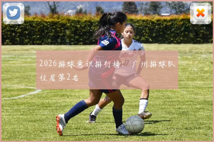 2026排球意识排行榜：广州排球队位居第2名