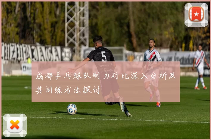 成都乒乓球队耐力对比深入分析及其训练方法探讨