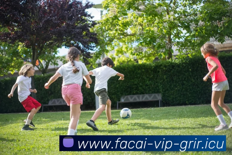 华体会体育平台生态图